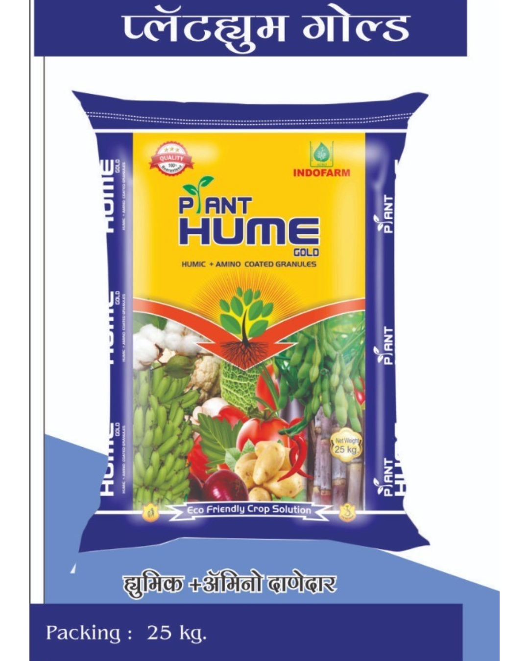 Plant Hume Gold